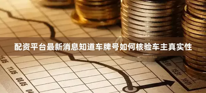 配资平台最新消息知道车牌号如何核验车主真实性