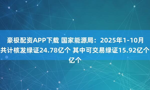 豪极配资APP下载 国家能源局：2025年1-10月共计核发绿证24.78亿个 其中可交易绿证15.92亿个